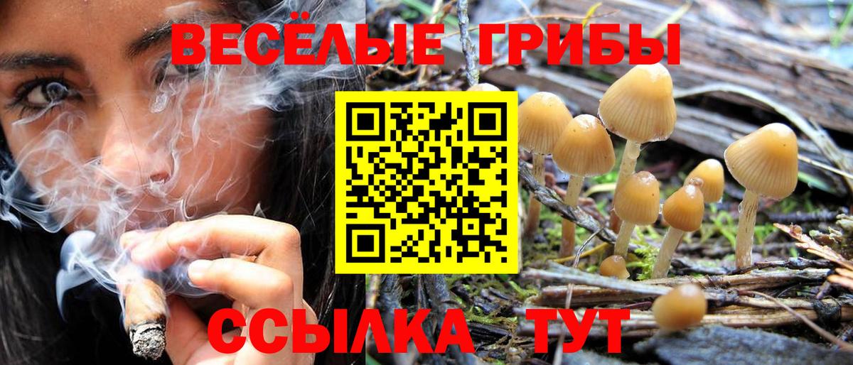 Псилоцибиновые грибы ЛСД  Псилоцибиновые грибы мухоморы  Еманжелинск  Вход с VPN 